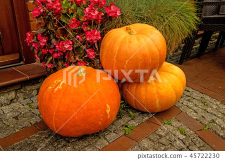 big squash, decorated at a house big squash, decorated at a house 45722230