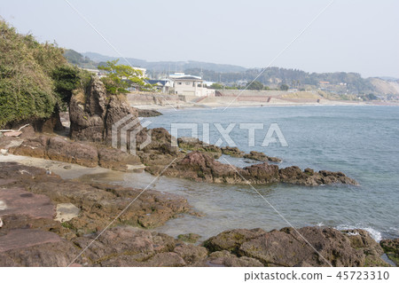 Kagoshima Kagoshima 45723310