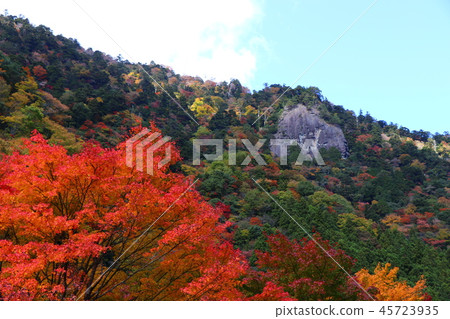Ishizuchi mountain system in autumn Ishizuchi mountain system in autumn 45723935