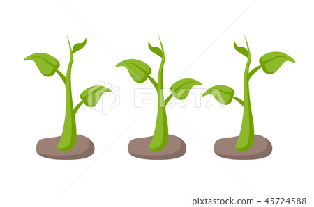 Green Plants in Garden Beds Set Cartoon Style 45724588
