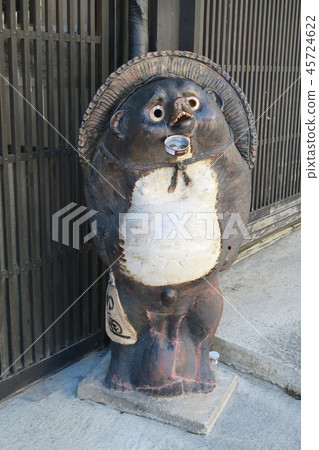 Raccoon Raccoon 45724622