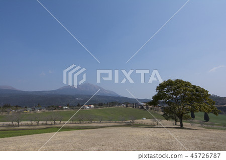 宮崎 宮崎 45726787