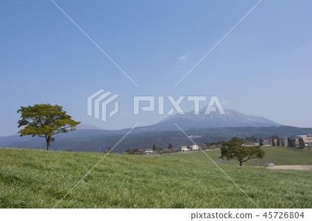 宮崎 宮崎 45726804