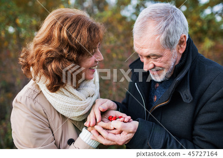 Senior couple on a walk in a forest in an autumn nature, holding ripe rosehip fruits. Senior couple on a walk in a forest in an autumn nature, holding ripe rosehip fruits. 45727164