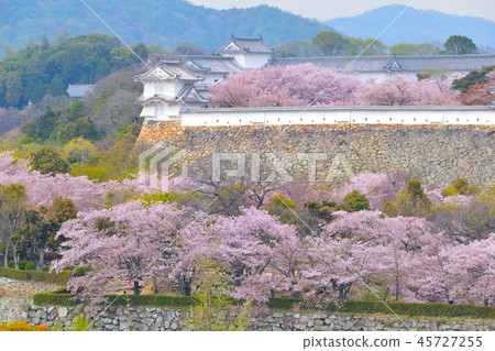 Sakuraba Himeji城堡Nishinomaru 45727255