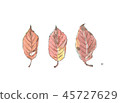 落葉 45727629