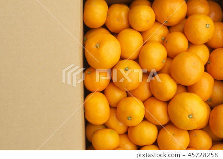 牛奶直接在盒裝盒中生產 牛奶直接在盒裝盒中生產 45728258