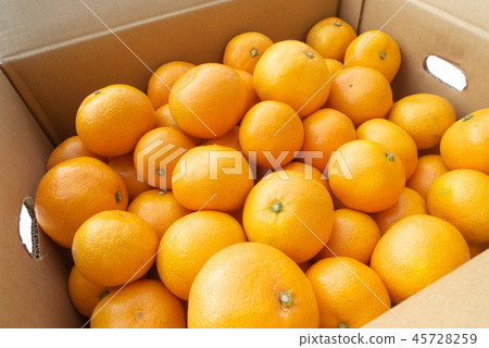 牛奶直接在盒裝盒中生產 45728259