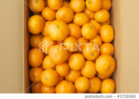 牛奶直接在盒裝盒中生產 牛奶直接在盒裝盒中生產 45728260