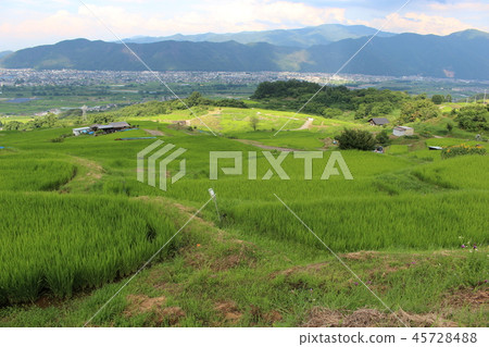 長野田田 45728488