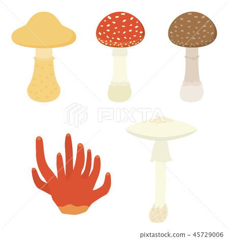  毒蘑菇 45729006
