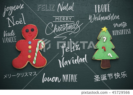 text merry christmas in different languages 45729566
