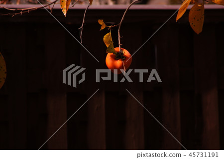 Koshu Hundred eyes of the dusk 45731191