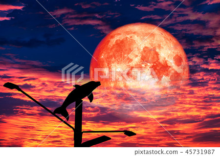 blood moon back on silhouette dophin pole on sky blood moon back on silhouette dophin pole on sky 45731987