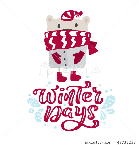 Winter days calligraphy lettering christmas text. Xmas scandinavian greeting card with hand drawn 45735235
