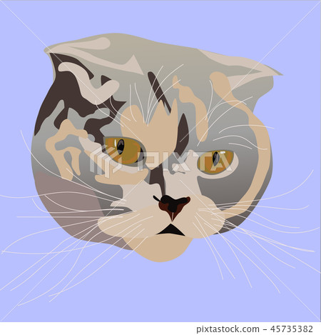 Cat spotted striped head sketch vector graphics color picture Cat spotted striped head sketch vector graphics color picture 45735382