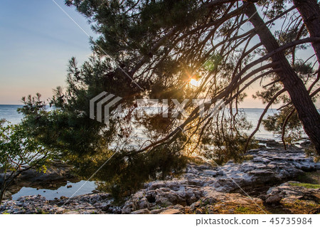 Adriatic coast at Savudrija, Istria, Croatia Adriatic coast at Savudrija, Istria, Croatia 45735984