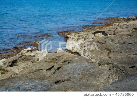 Adriatic coast at Savudrija, Istria, Croatia 45736000