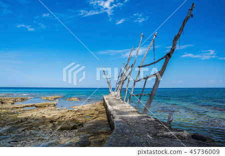 Adriatic coast at Savudrija, Istria, Croatia 45736009
