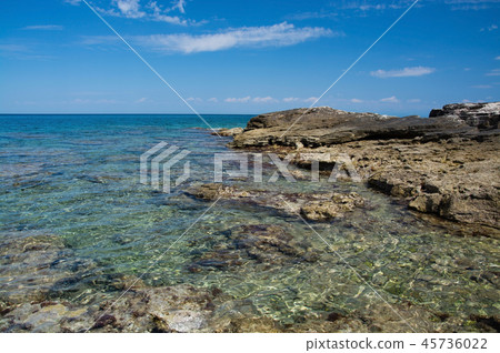 Adriatic coast at Savudrija, Istria, Croatia Adriatic coast at Savudrija, Istria, Croatia 45736022