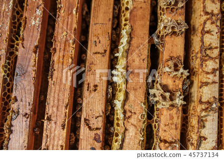 Open beehive with bees are crawling along the hive Open beehive with bees are crawling along the hive 45737134