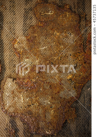 Closeup of topside of beehive glued with propolis Closeup of topside of beehive glued with propolis 45737135