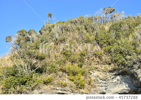 高分辨率)神奈川縣三浦市山王附近的風景 高分辨率)神奈川縣三浦市山王附近的風景 45737288