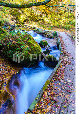 男人iku Meisui [大分縣由布市]的瀑布的秋天葉子 45740250