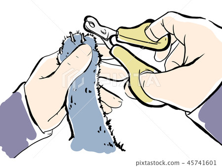 Cat nail clippers 45741601