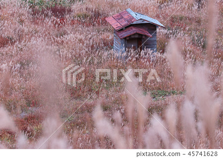 志賀高原秋季Tannohara濕地 45741628