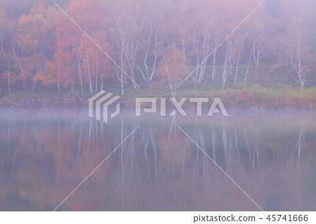 Autumn Kido Pond wrapped in mist 45741666