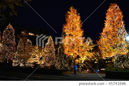 Pageant in Izumi Park Town of SENDAI light 45741696