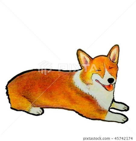 Corgi showing off her corgi smile Corgi showing off her corgi smile 45742174
