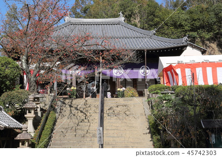 Nozaki Kannon 45742303