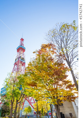 Sapporo TV tower in autumn 45742741