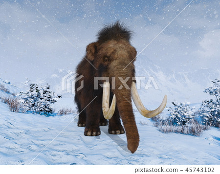 Mammoth 45743102