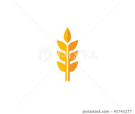 Wheat logo vector template Wheat logo vector template 45743277