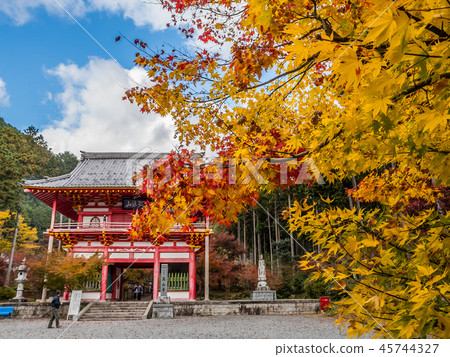 Takayama Temple of autumn leaves Takayama Temple of autumn leaves 45744327