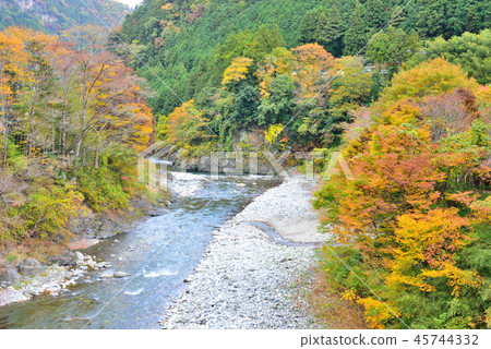 <Okutama> Sea Foliage of Autumn Leaves Okutama-cho, Nishitama-gun, Tokyo 45744332