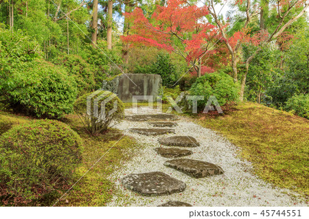 Josho-ji Temple Autumn leaves Josho-ji Temple Autumn leaves 45744551