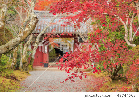 Josho-ji寺秋葉 45744563