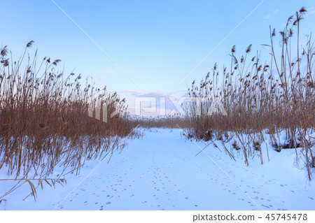 Comana lake in winter 45745478