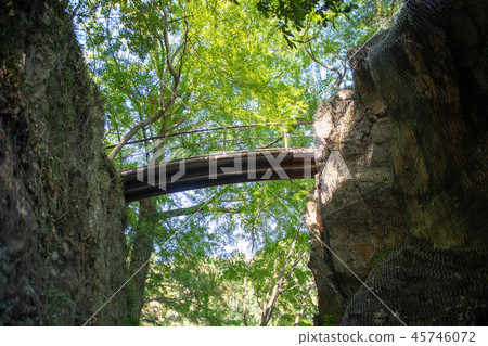 Jyodoyama Jorinji Temple Tendobashi 45746072