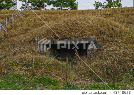 [Minato-ku, Tokyo] National designated historic site, Tokyo Daiba Park, ammunition depot 45748628