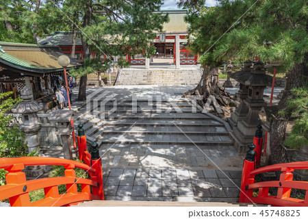 Sumiyoshi Taisha地面風景 Sumiyoshi Taisha地面風景 45748825