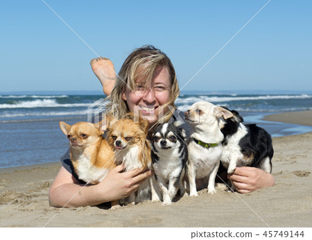 woman and chihuahuas 45749144