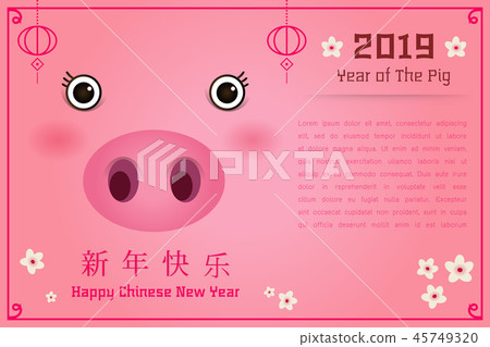 Year of the pig vector illustration 45749320