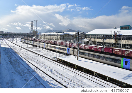 拍攝通過Hagodate Hokkaido Gojokaku Station的鐘擺的風景 45750007