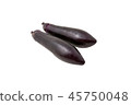 Two  eggplants on a white background 45750048