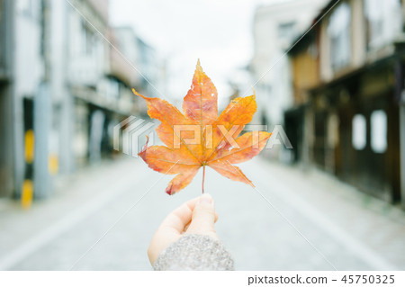 秋天在這個城市找到了 秋天在這個城市找到了 45750325